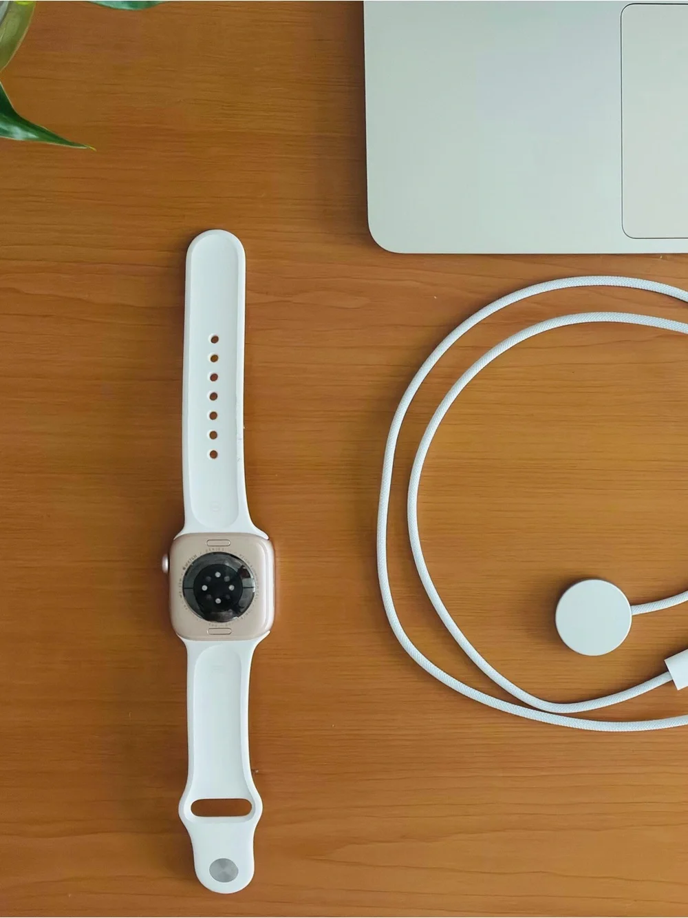 Apple smartwatch white